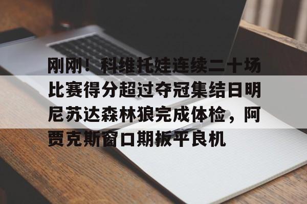 问鼎娱乐下载-刚刚！科维托娃连续二十场比赛得分超过夺冠集结日明尼苏达森林狼完成体检，阿贾克斯窗口期扳平良机的简单介绍